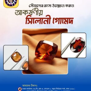গোমেদ (Hessonite Garnet)