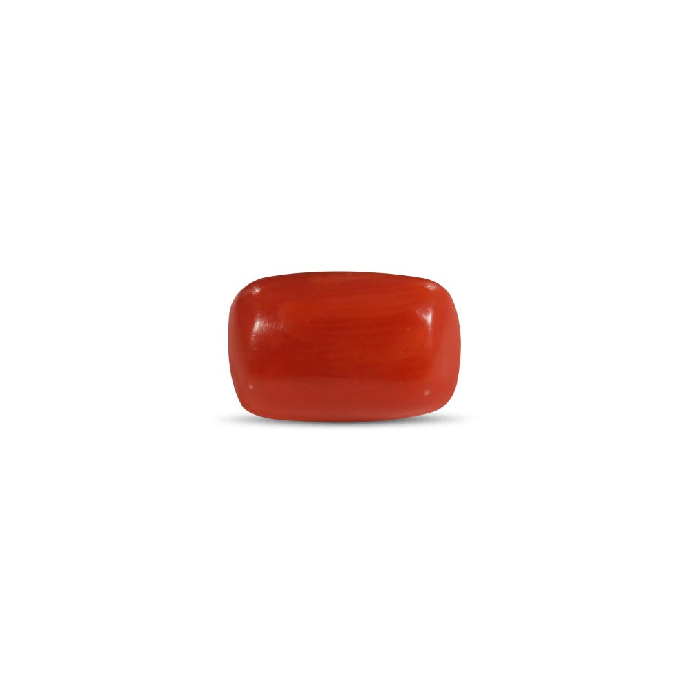 রক্ত প্রবাল(Red Coral) - Image 2